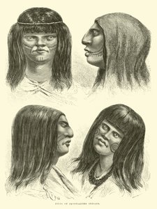 チョンタキロインディアンの種類 作： Edouard Riou